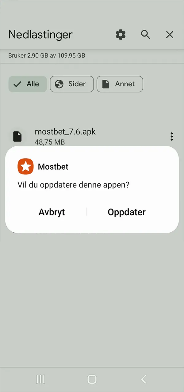 Installer Mostbet-appen på noen få øyeblikk.